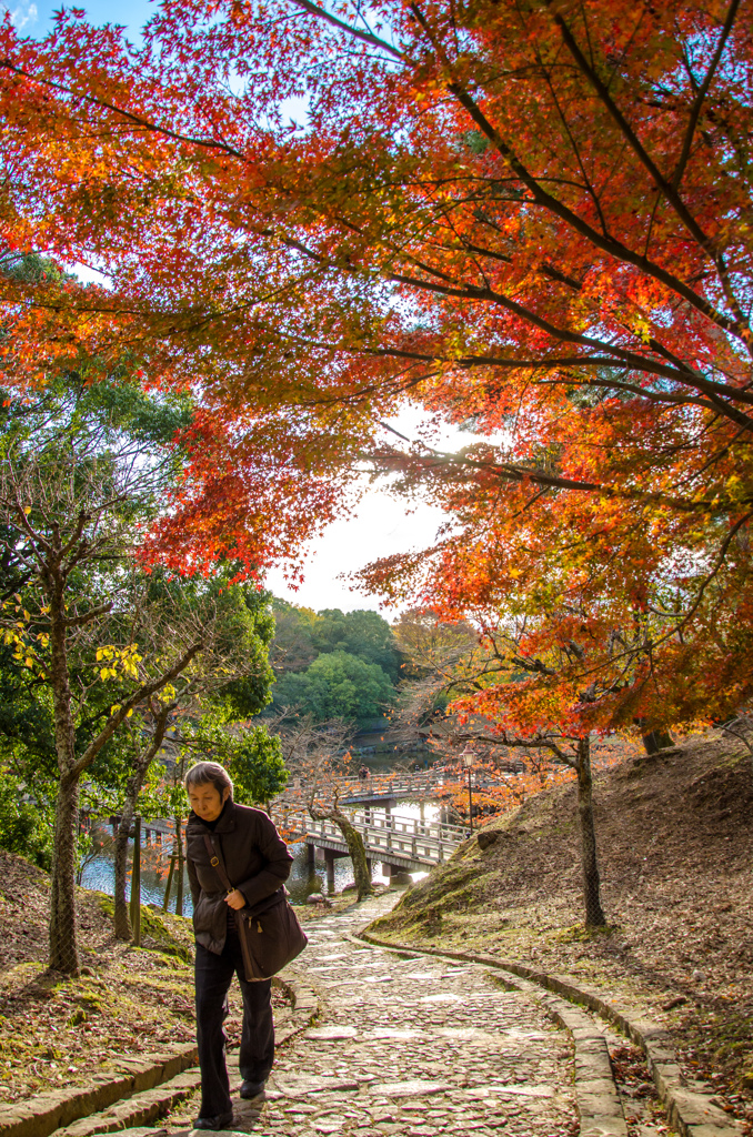 奈良　紅葉