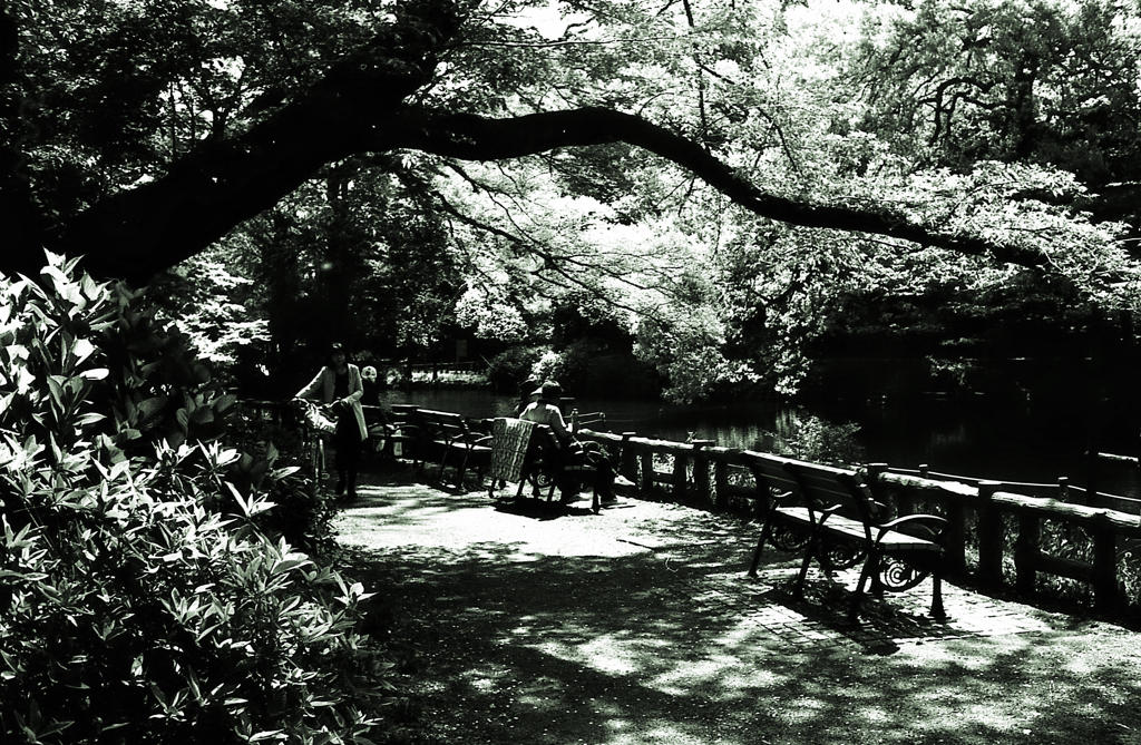 水辺の公園