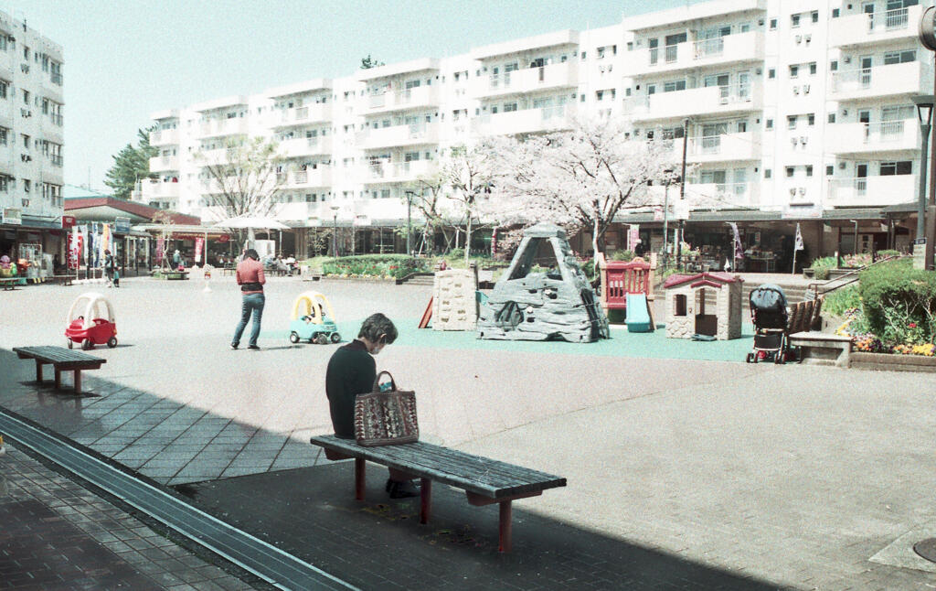 コロナ禍の下、桜咲く