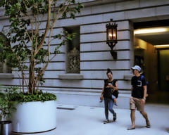 街路樹のある街－２