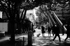 表参道界隈