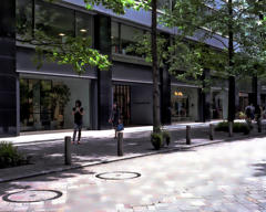 街路樹のある街－２