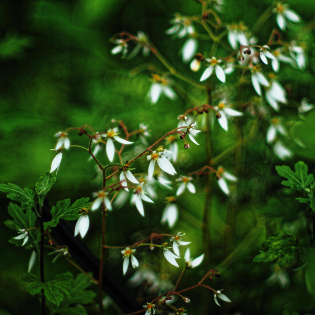 ちょっとマクロ