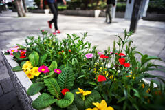 焦点距離21mmの世界