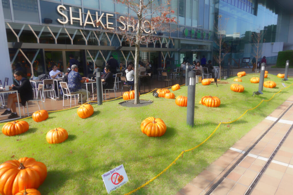 カボチャの名産地