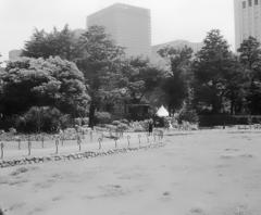 ローライ in 日比谷