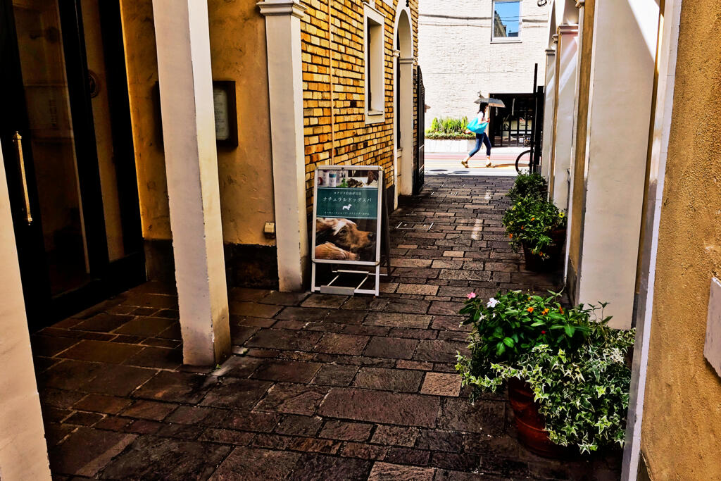 太陽がいっぱい