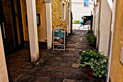 太陽がいっぱい