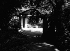 ローライ in 日比谷