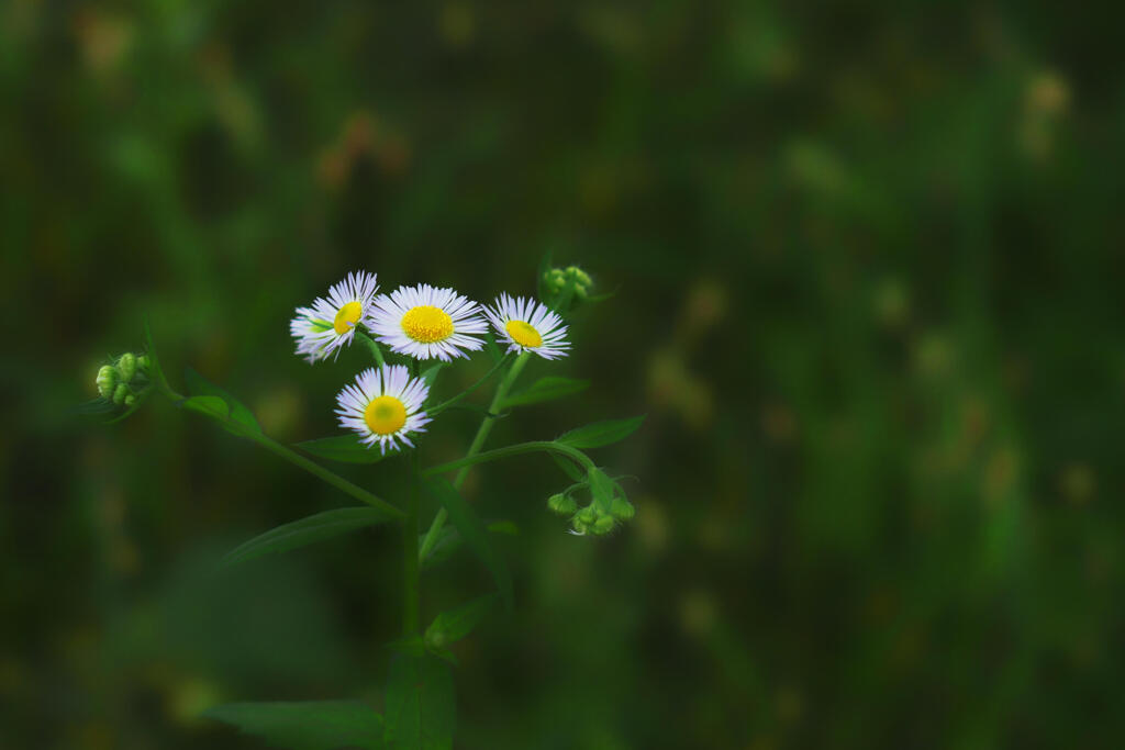 ちょっとマクロ