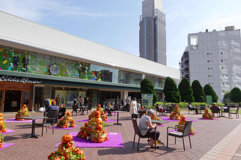 カボチャの名産地