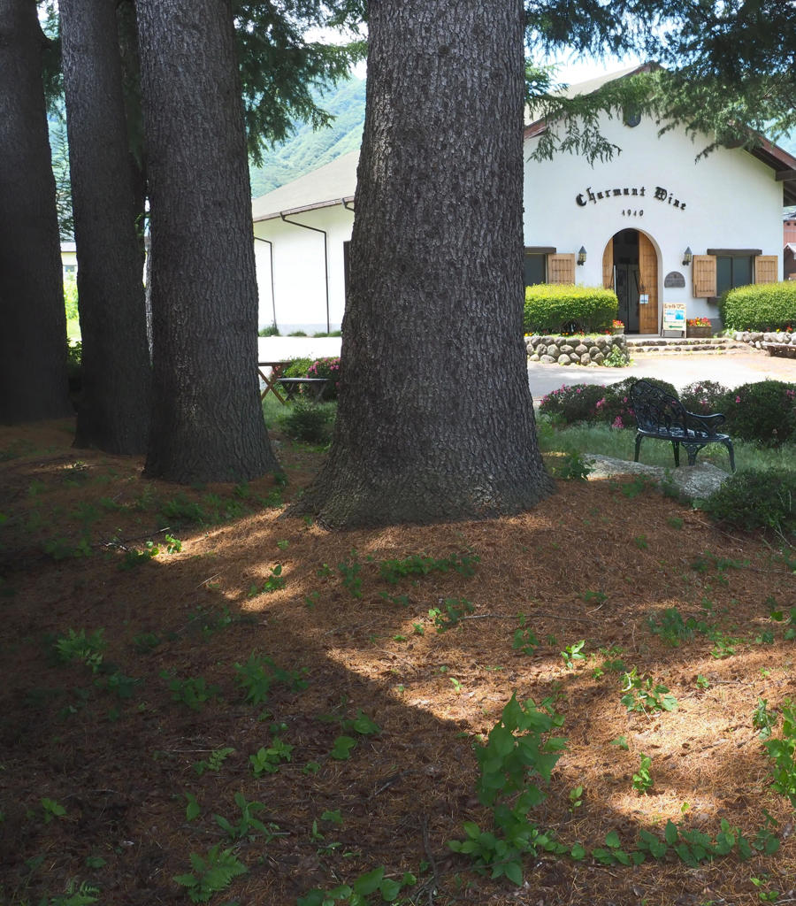 小さなワイナリー