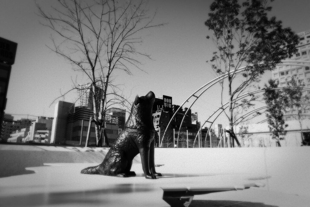 アーチのある風景