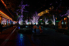 イルミネーション-3