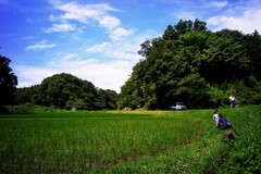 梅雨の晴れ間