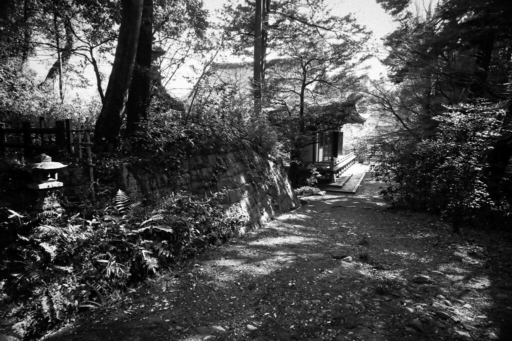山寺ー４