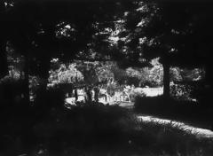 ローライ in 日比谷