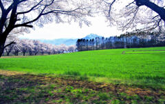 「春」の到来を希求して