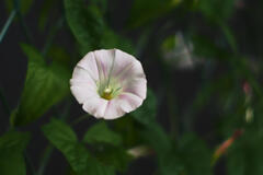 ちょっとマクロ