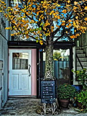 原宿裏通り　２