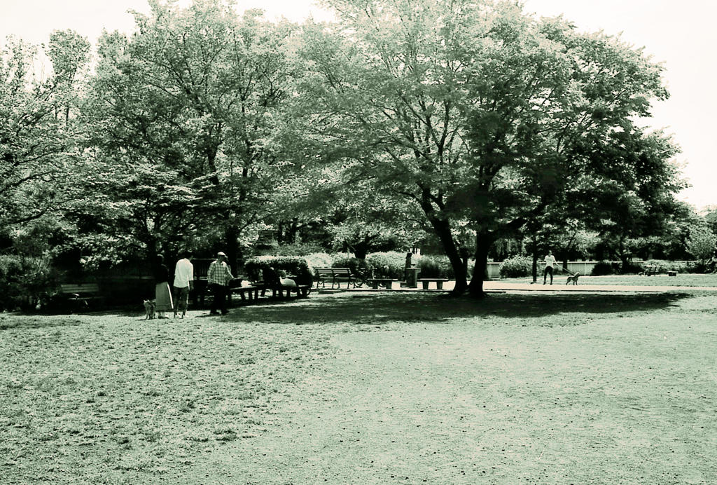水辺の公園