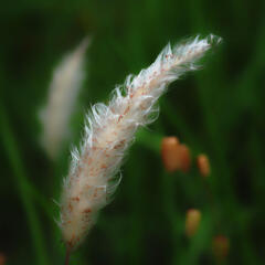 ちょっとマクロ