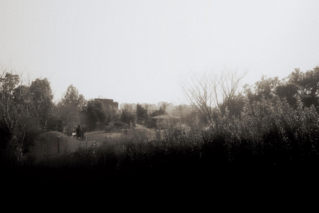 オーパス夢広場