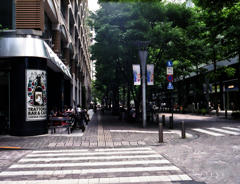 街路樹のある街