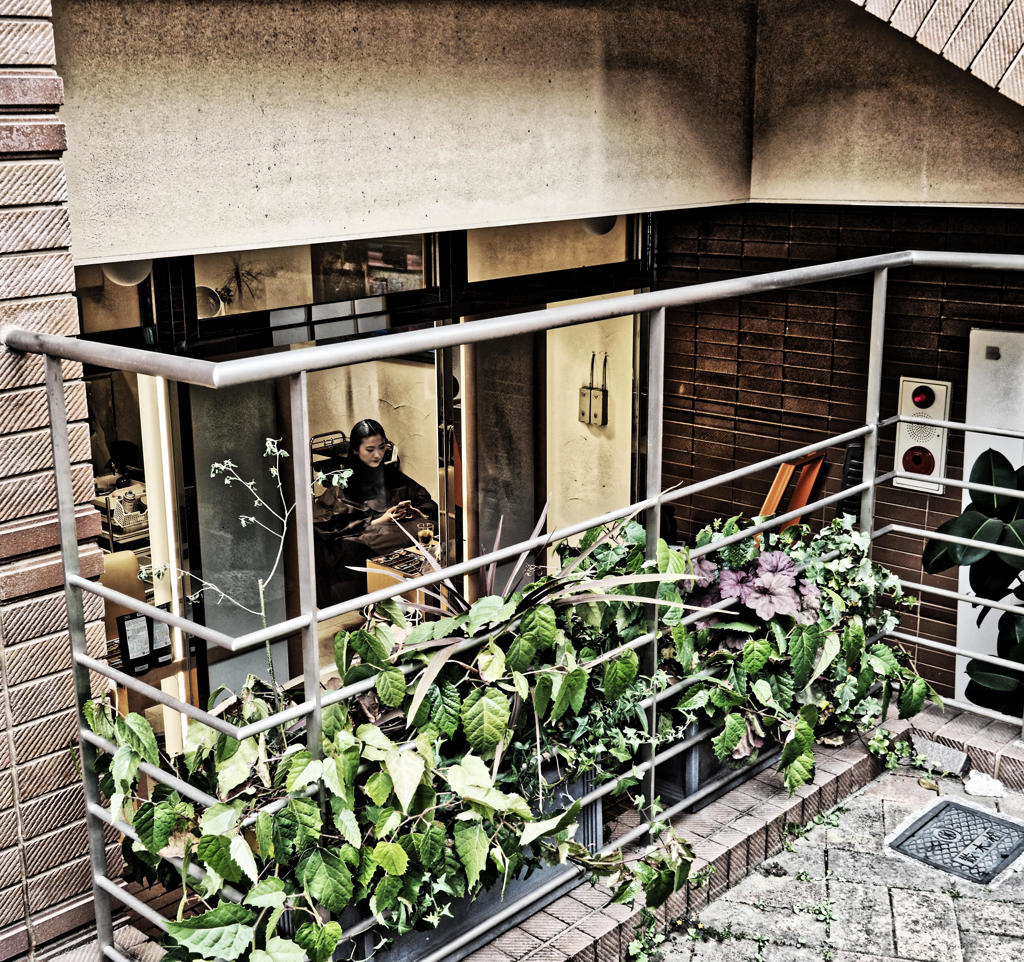 フォンテーヌ通り　２