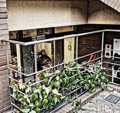 フォンテーヌ通り　２