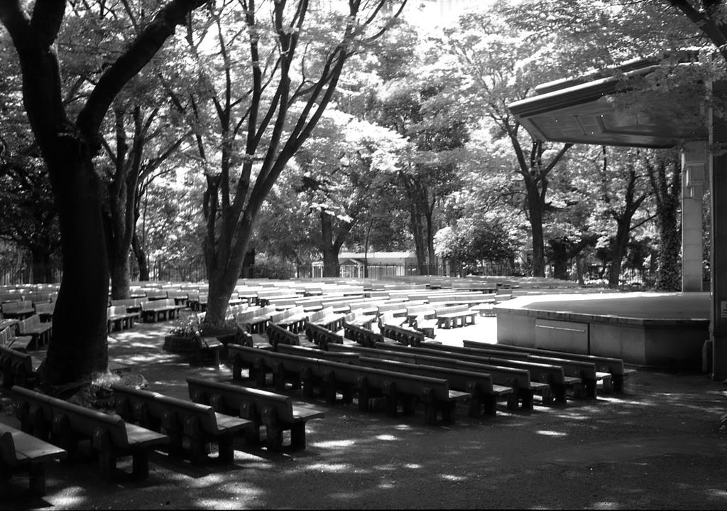 ローライ in 日比谷