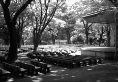 ローライ in 日比谷