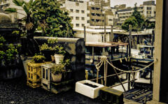 港町十三番地？