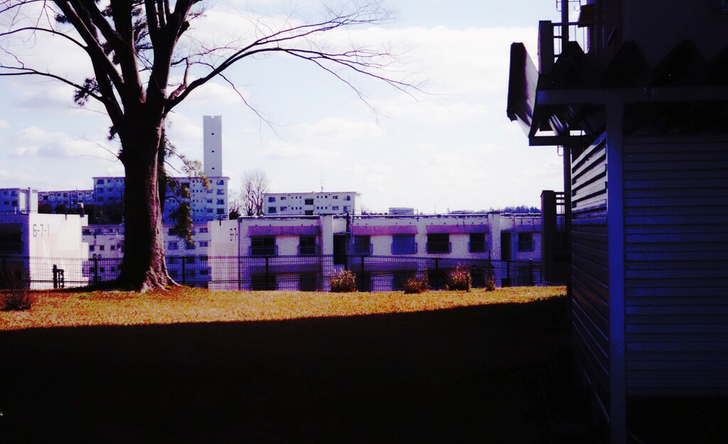 或　住宅団地