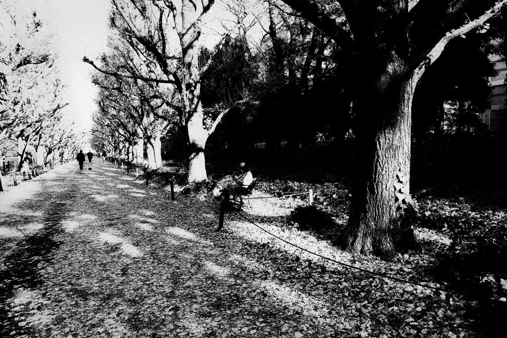 初冬の外苑-1