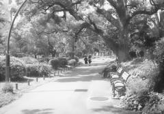 ローライ in 日比谷