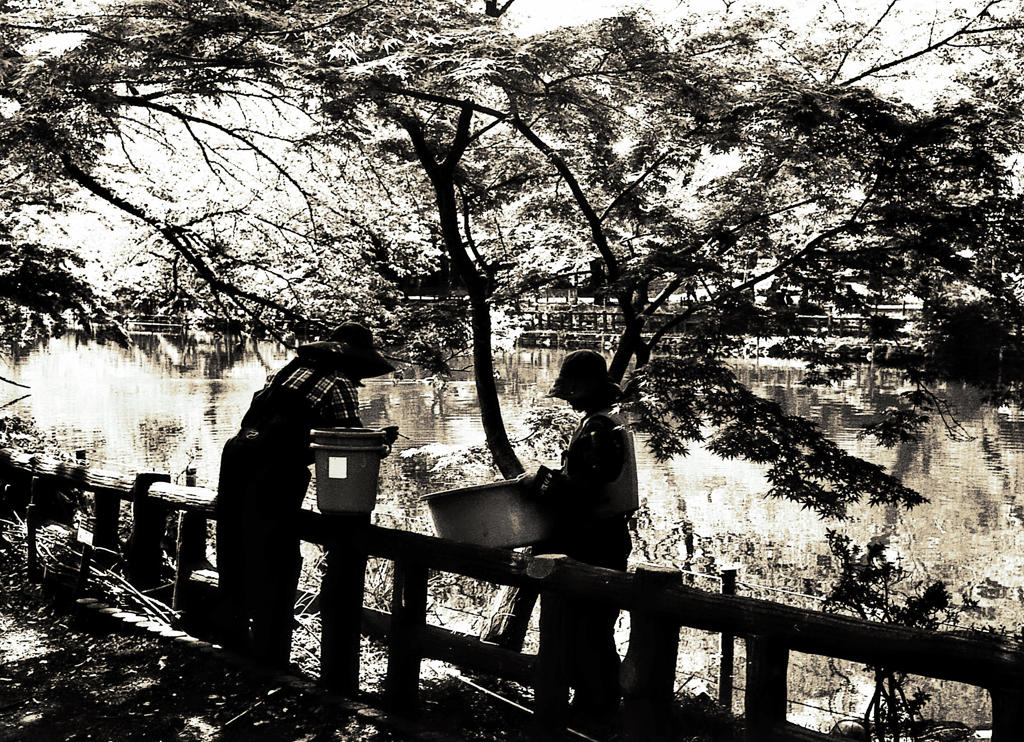 水辺の公園