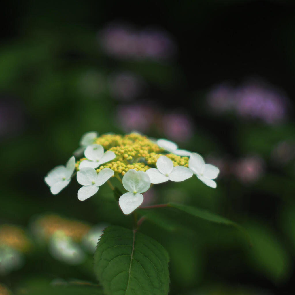 ちょっとマクロ