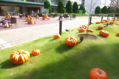 カボチャの名産地