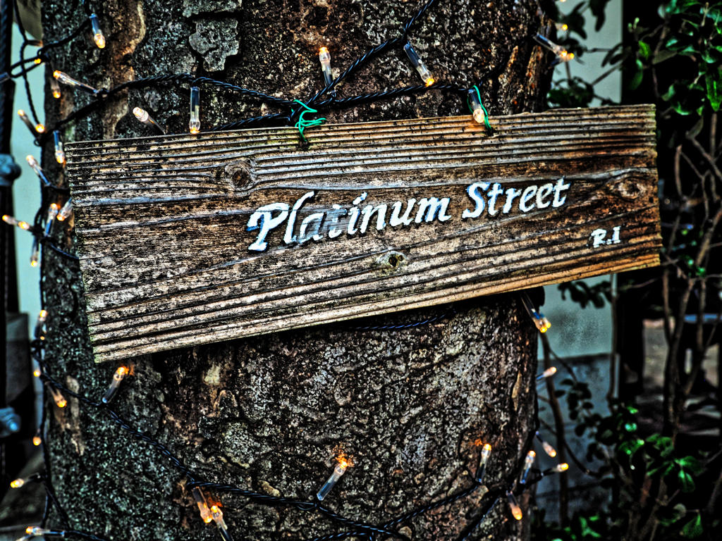 プラチナ通り界隈　２