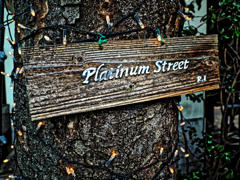 プラチナ通り界隈　２