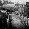 山寺ー７