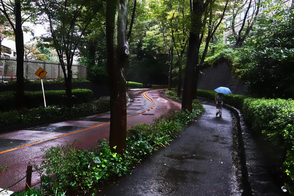 雨の広尾　２