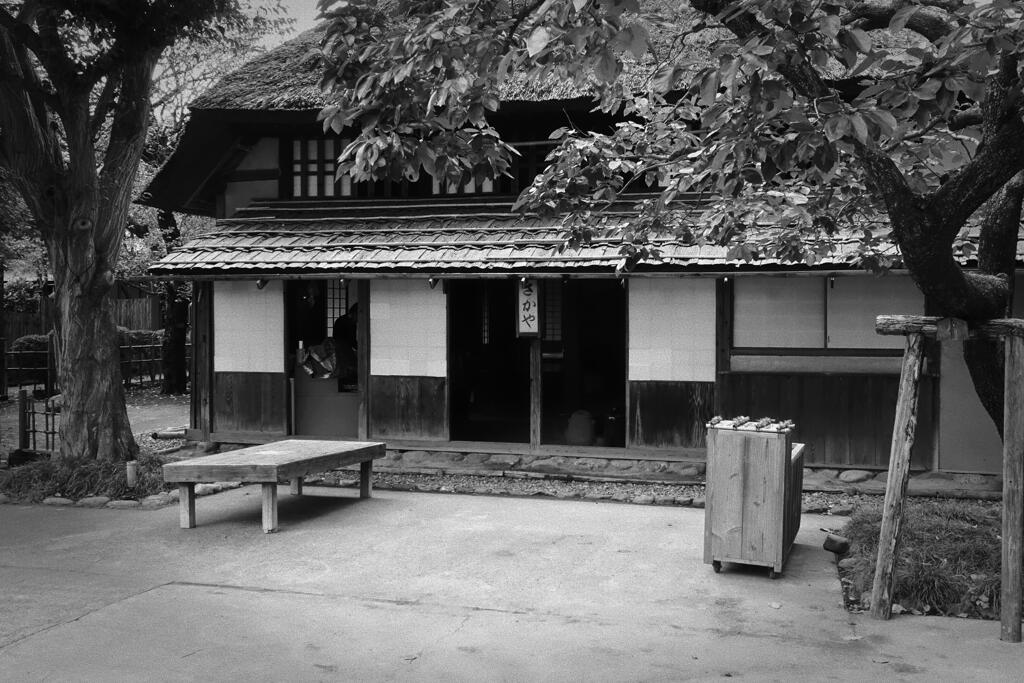 保存家屋　酒屋