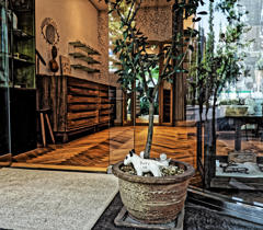 プラチナ通り界隈