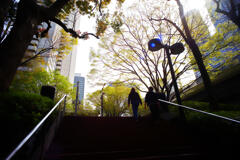 焦点距離21ｍｍの世界