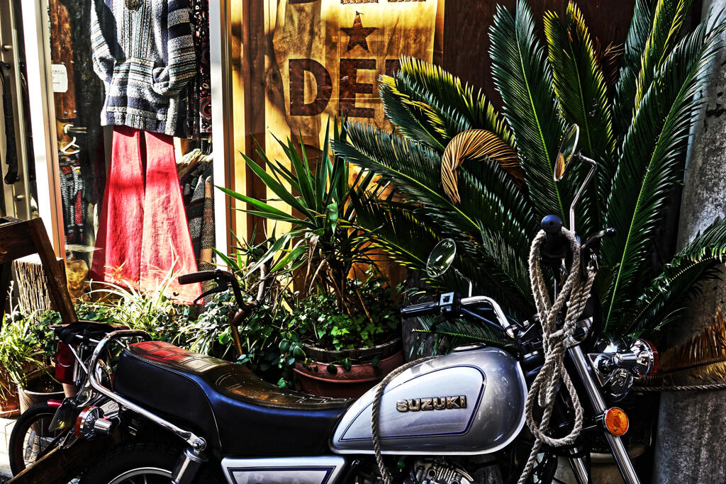 ハロウィンの日の渋谷 2