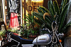 ハロウィンの日の渋谷 2