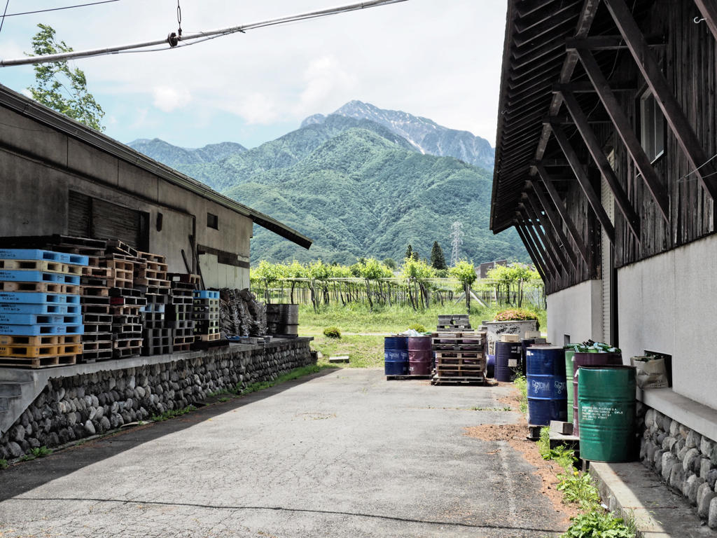 小さなワイナリー