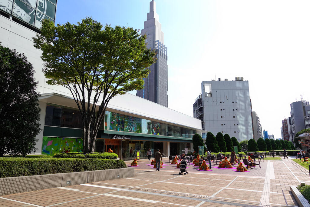 カボチャの名産地